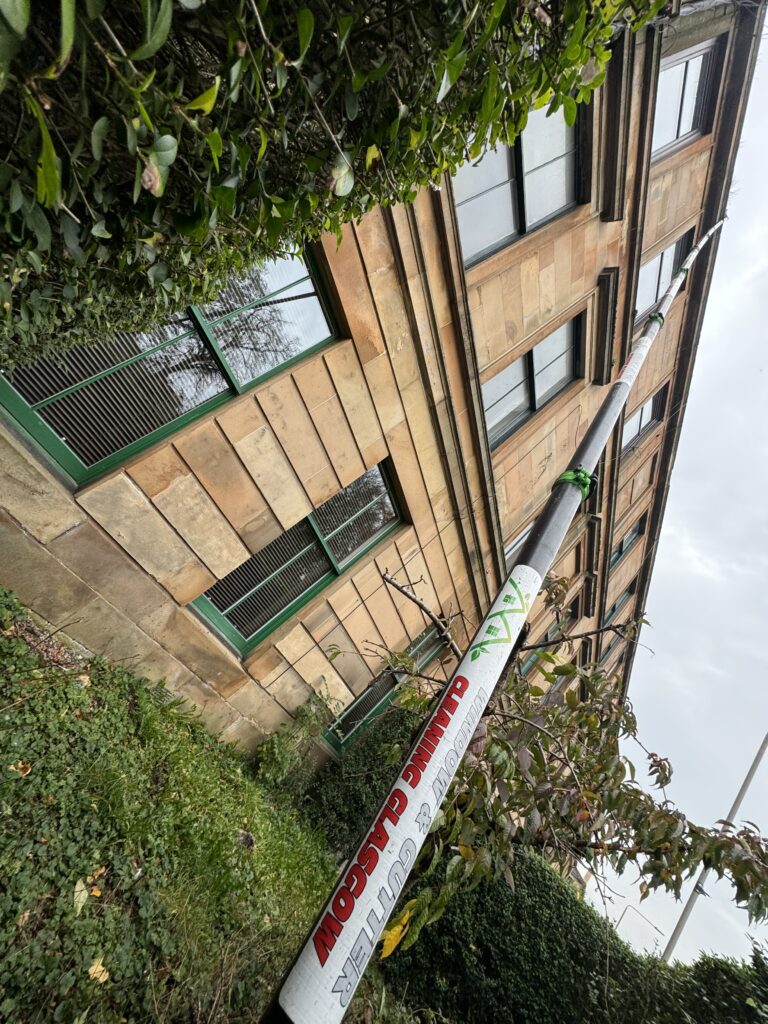Gutter Cleaning