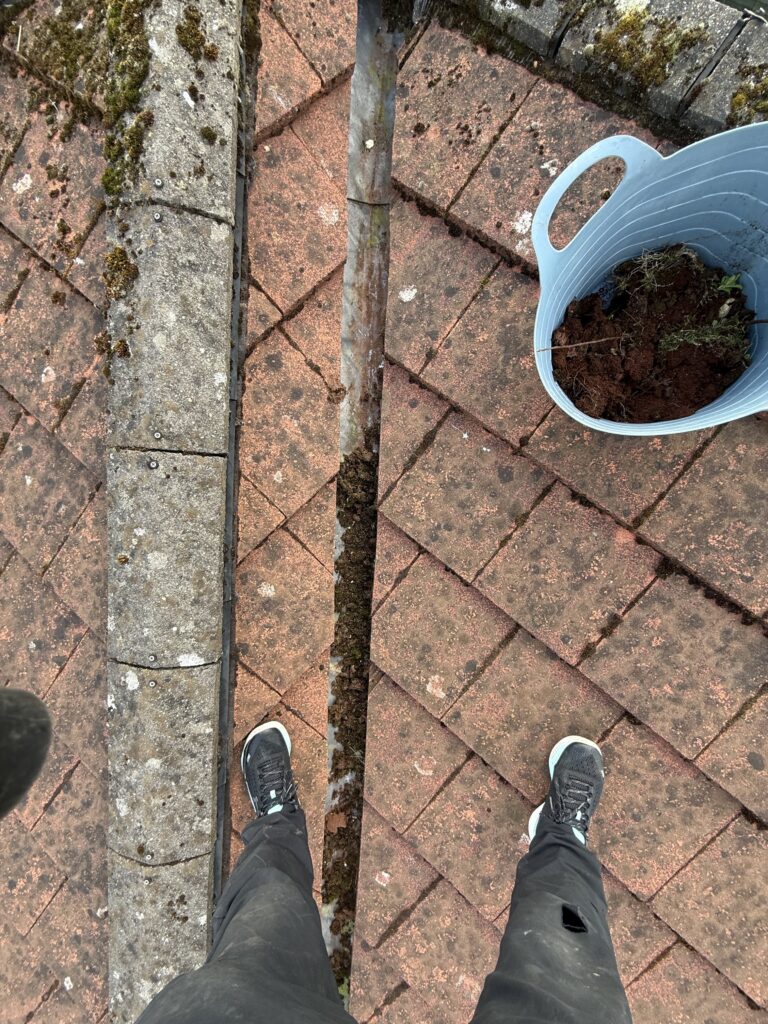 Person standing on a brick pavement next to a blue watering can filled with soil.